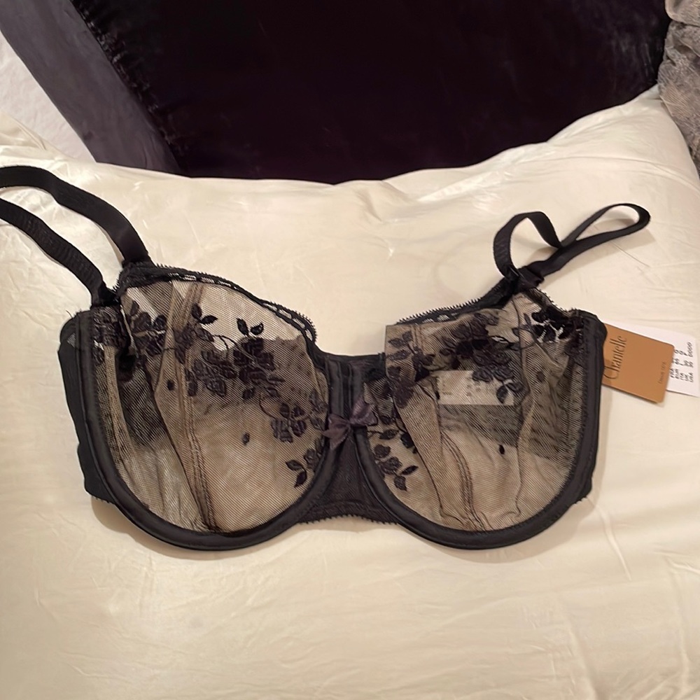 PURE LUXURY! Chantelle Demi Bra. NWT. Size 30 DDDD/ 30 G